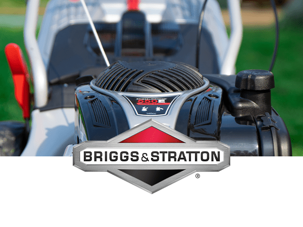 Best briggs discount and stratton engine